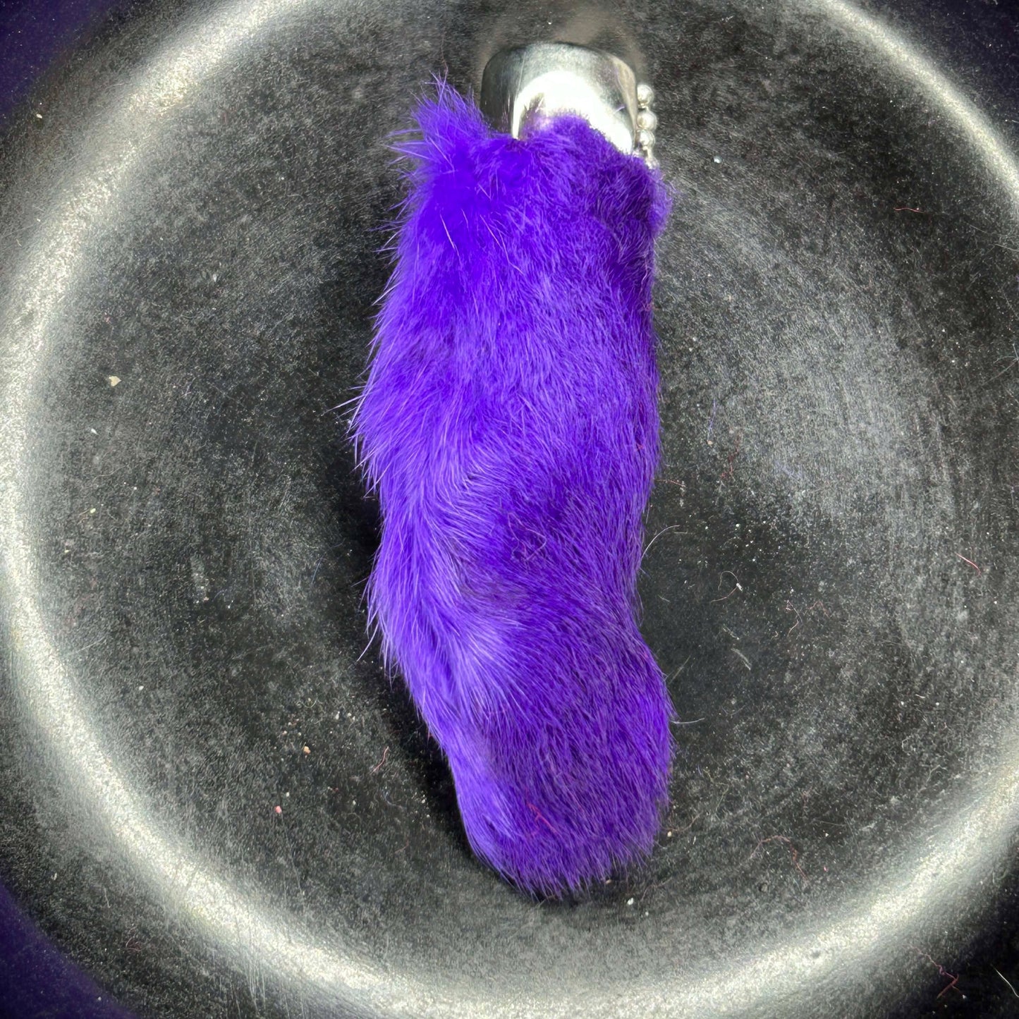 Colored Rabbits Feet