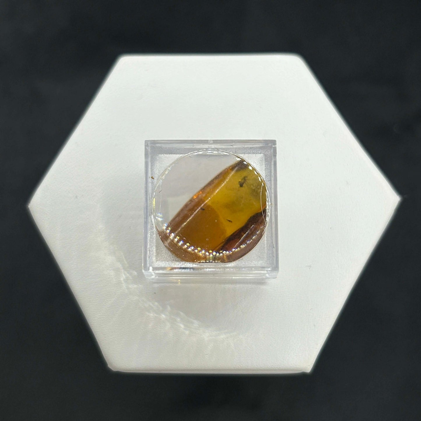 Amber Peaky Specimen