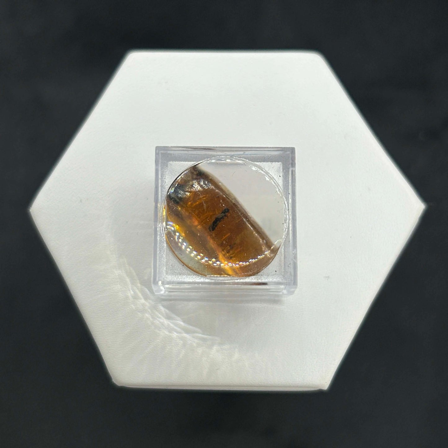 Amber Peaky Specimen