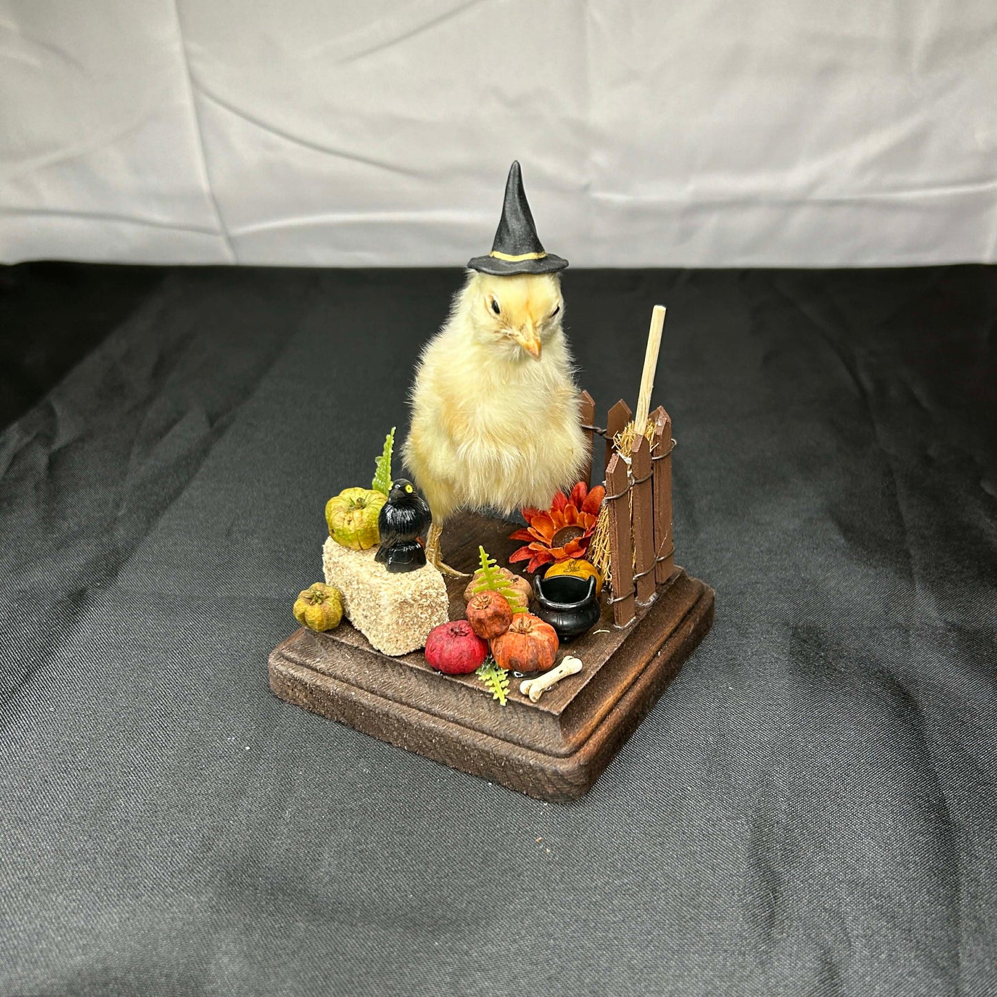 Witchy Baby Chick