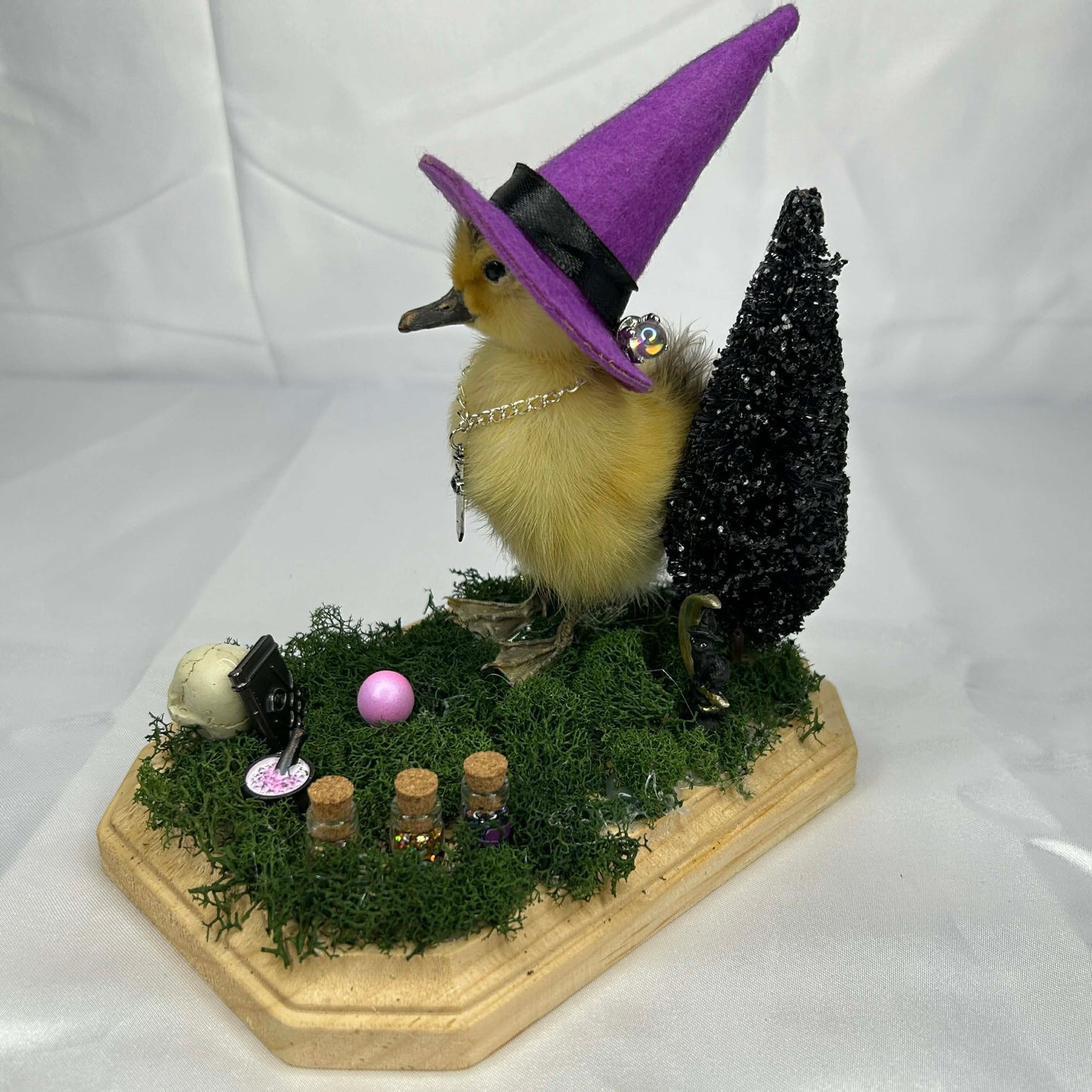 Witch Duckie