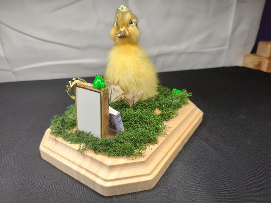 Princess Duckie