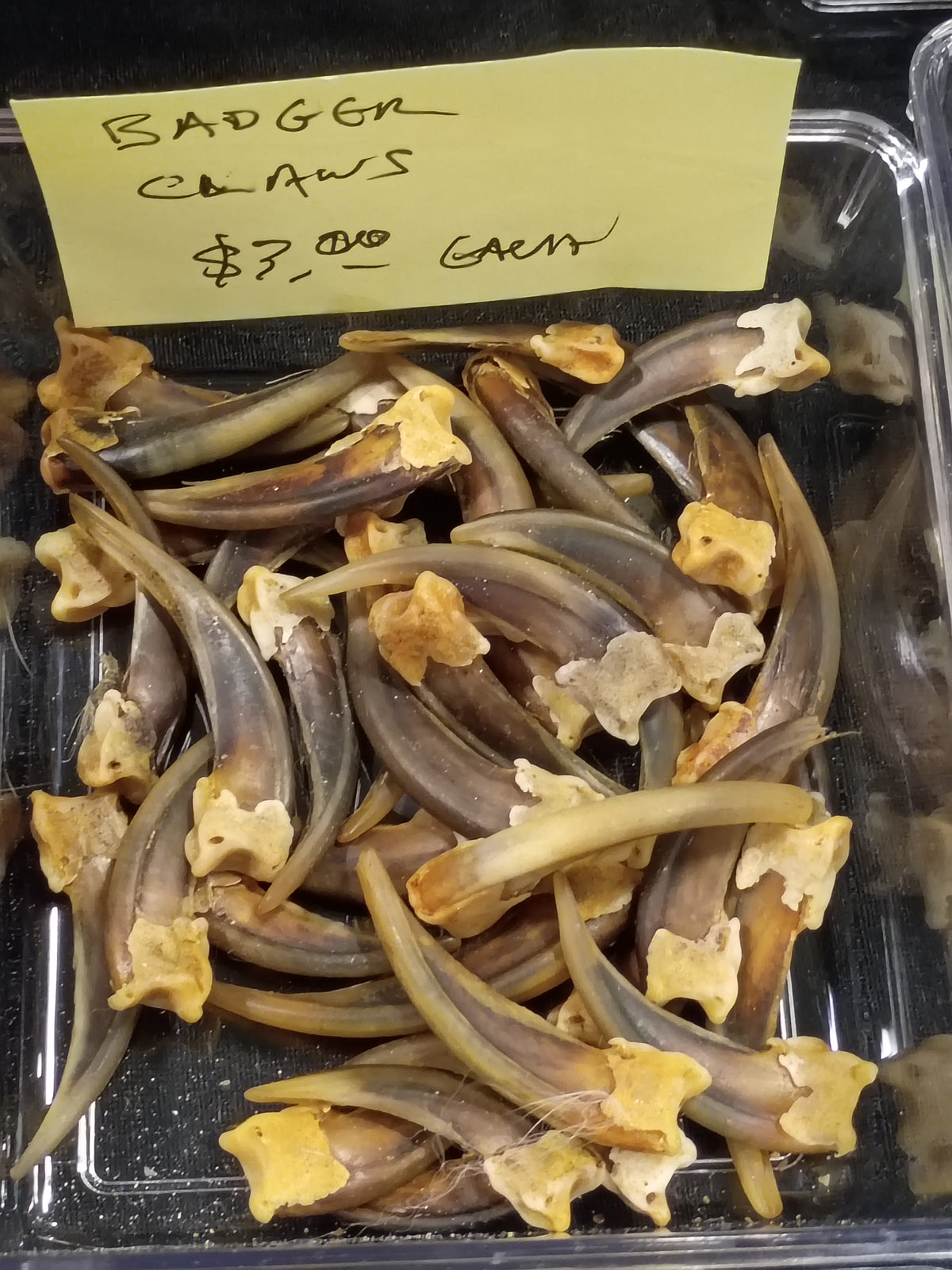 Badger Claws