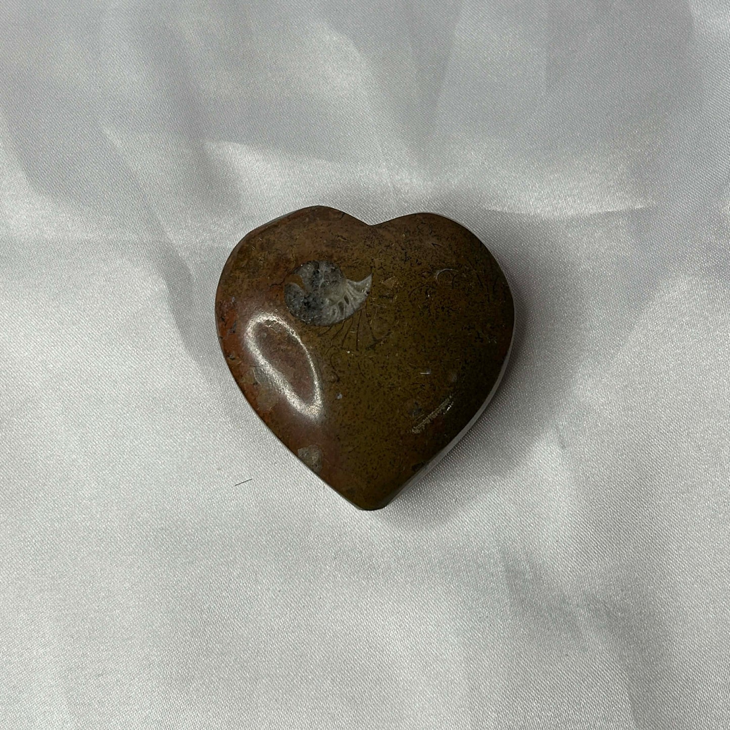 Ammonite Heart