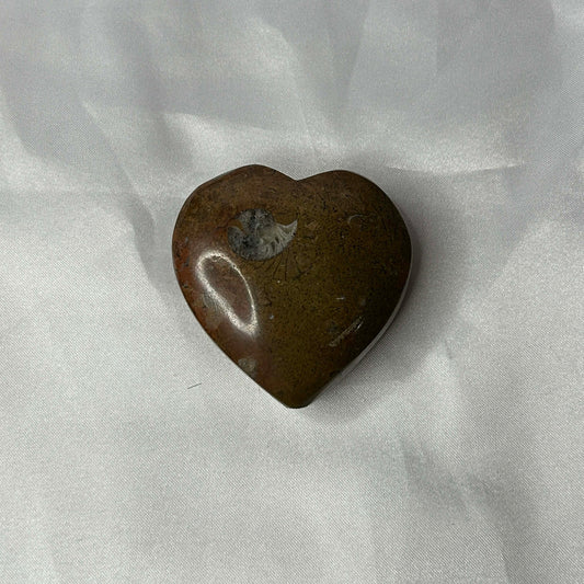 Ammonite Heart