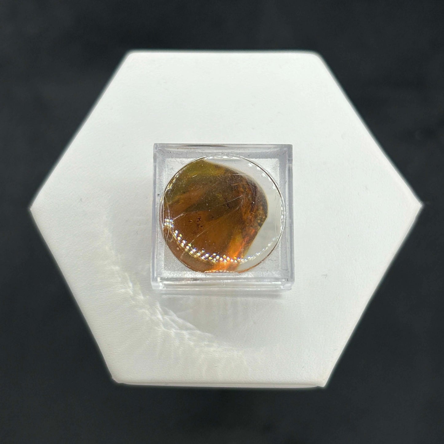 Amber Peaky Specimen