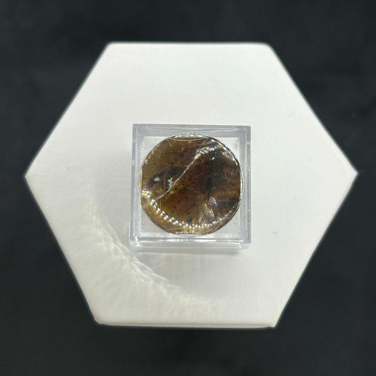 Amber Peaky Specimen