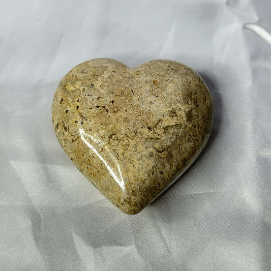 Dinosaur Bone Jasper
