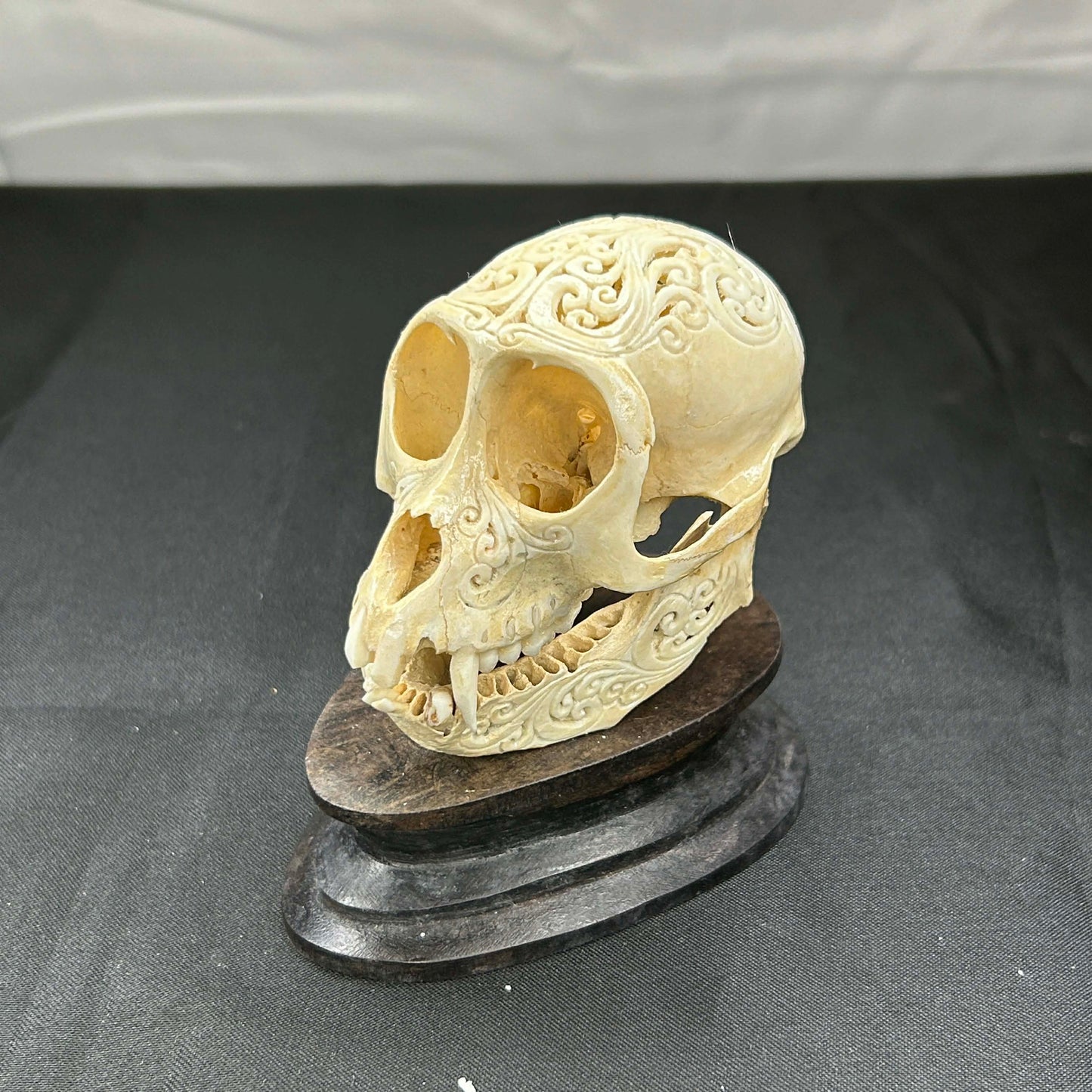 Decorative Monkey Skulls