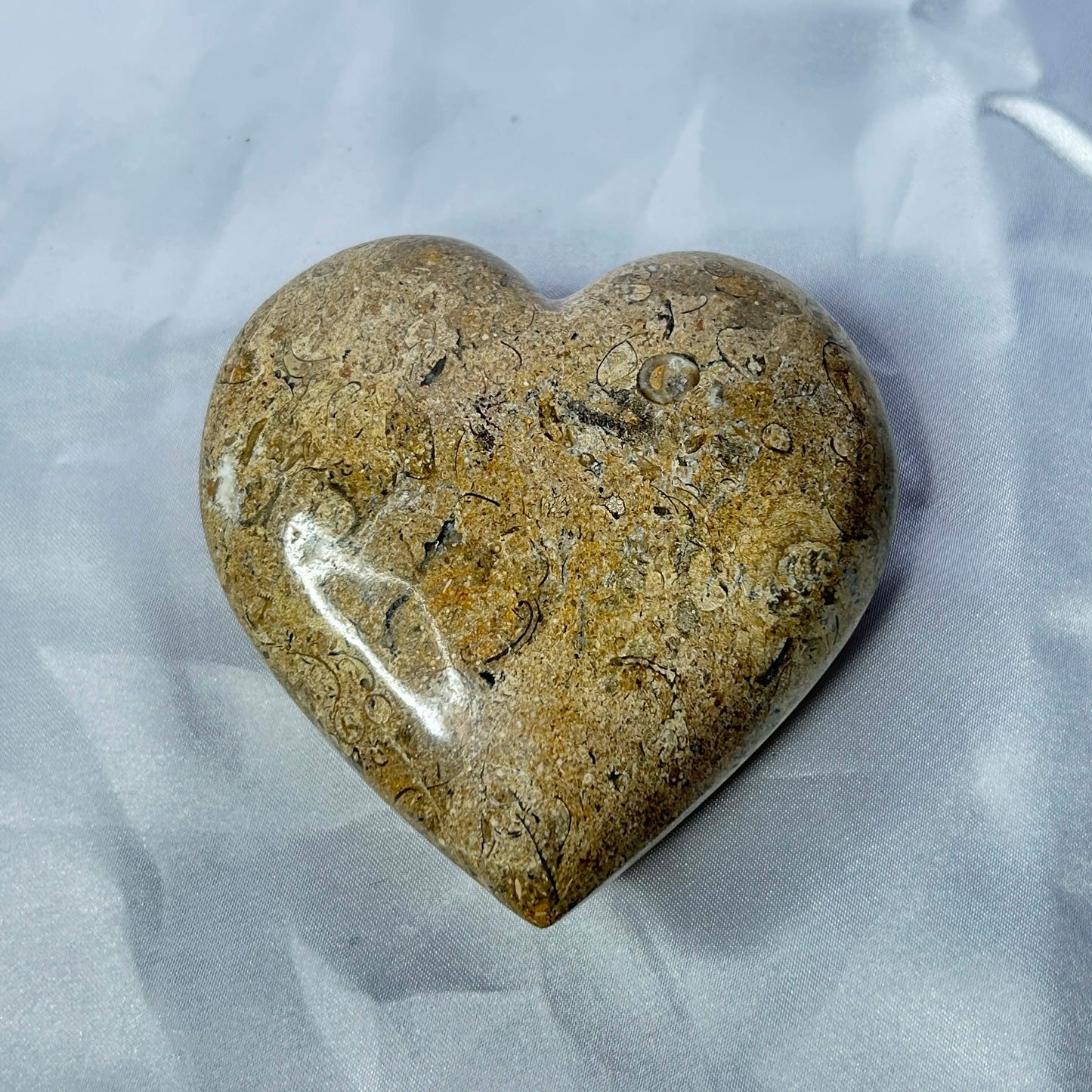 Dinosaur Bone Jasper