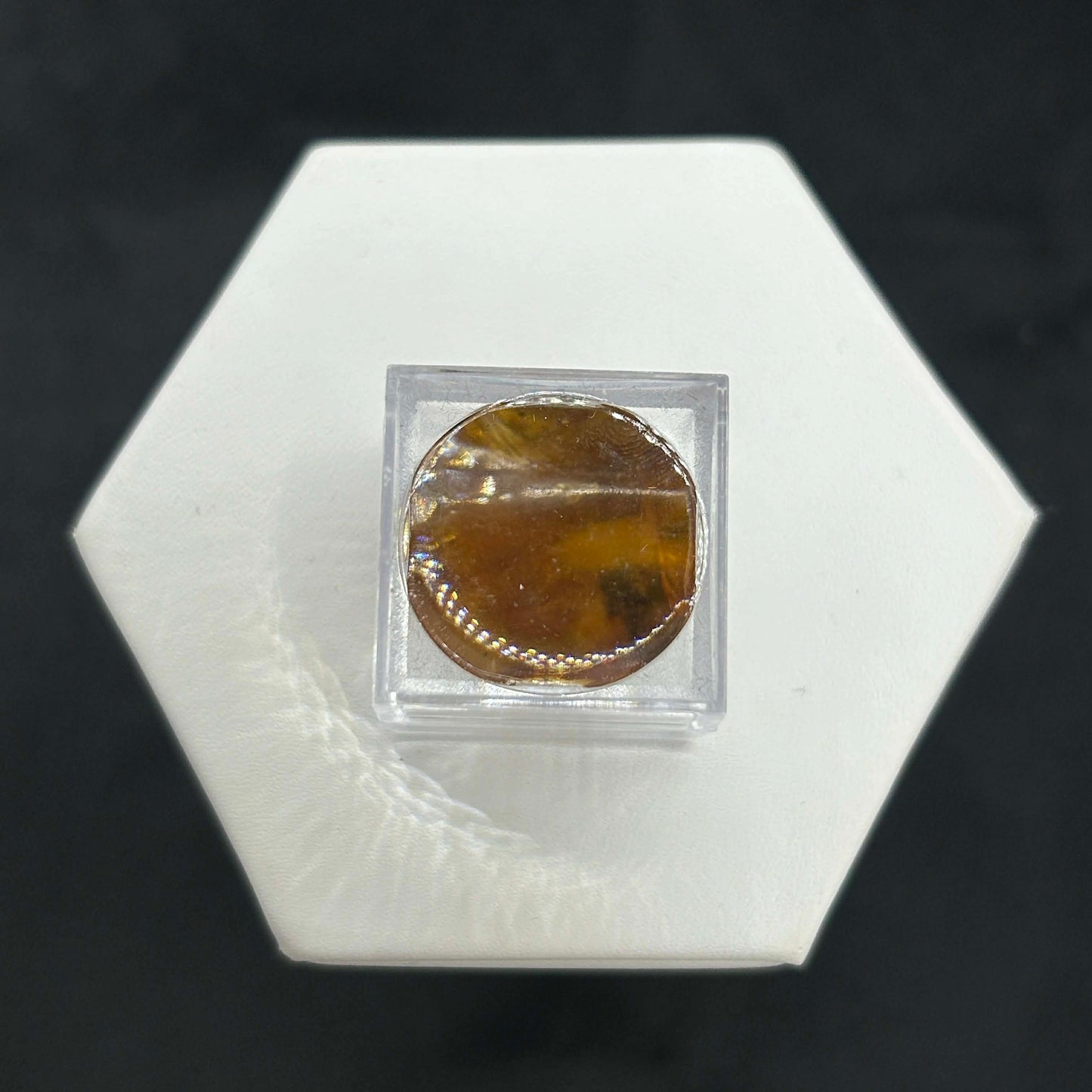 Amber Peaky Specimen