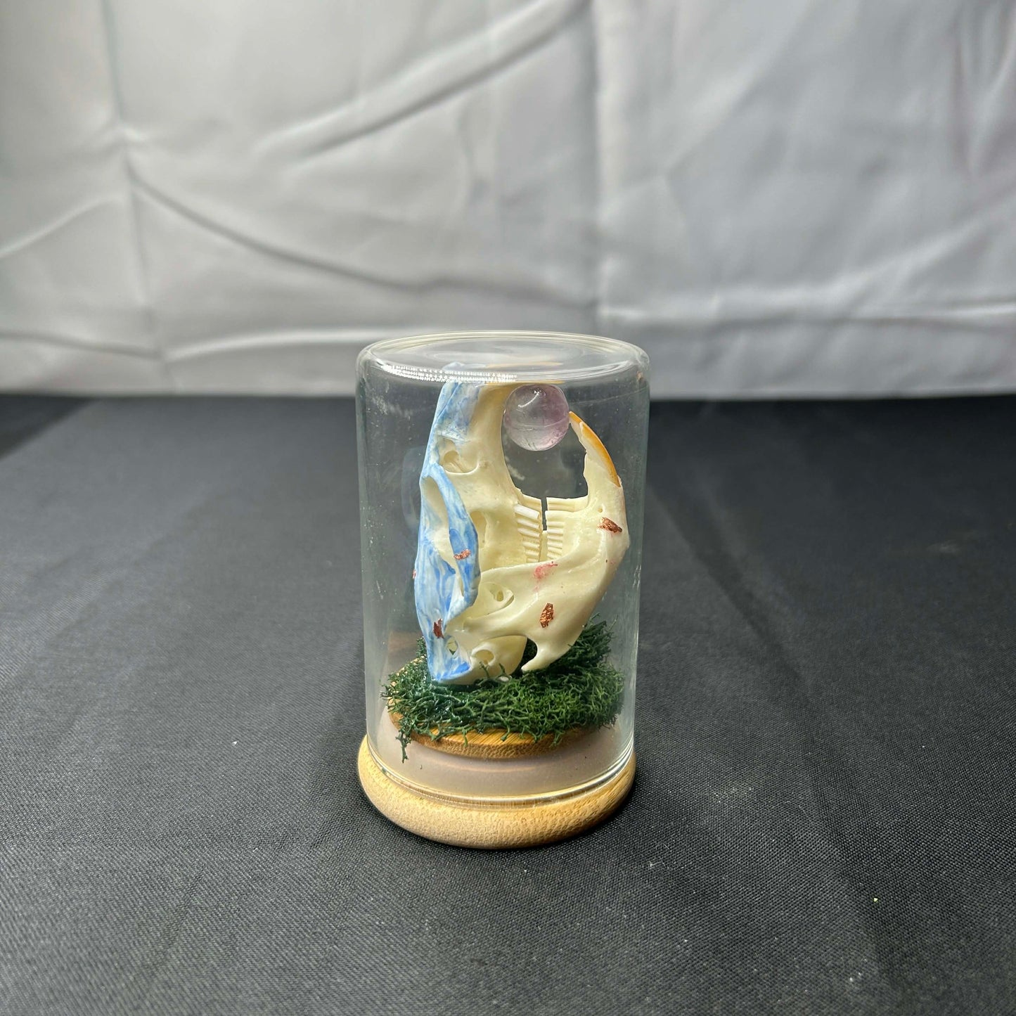Mystical Muskrat Oddity Dome