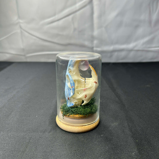 Mystical Muskrat Oddity Dome