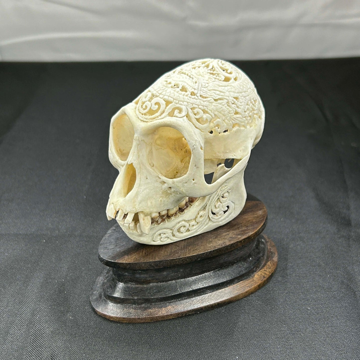Decorative Monkey Skulls