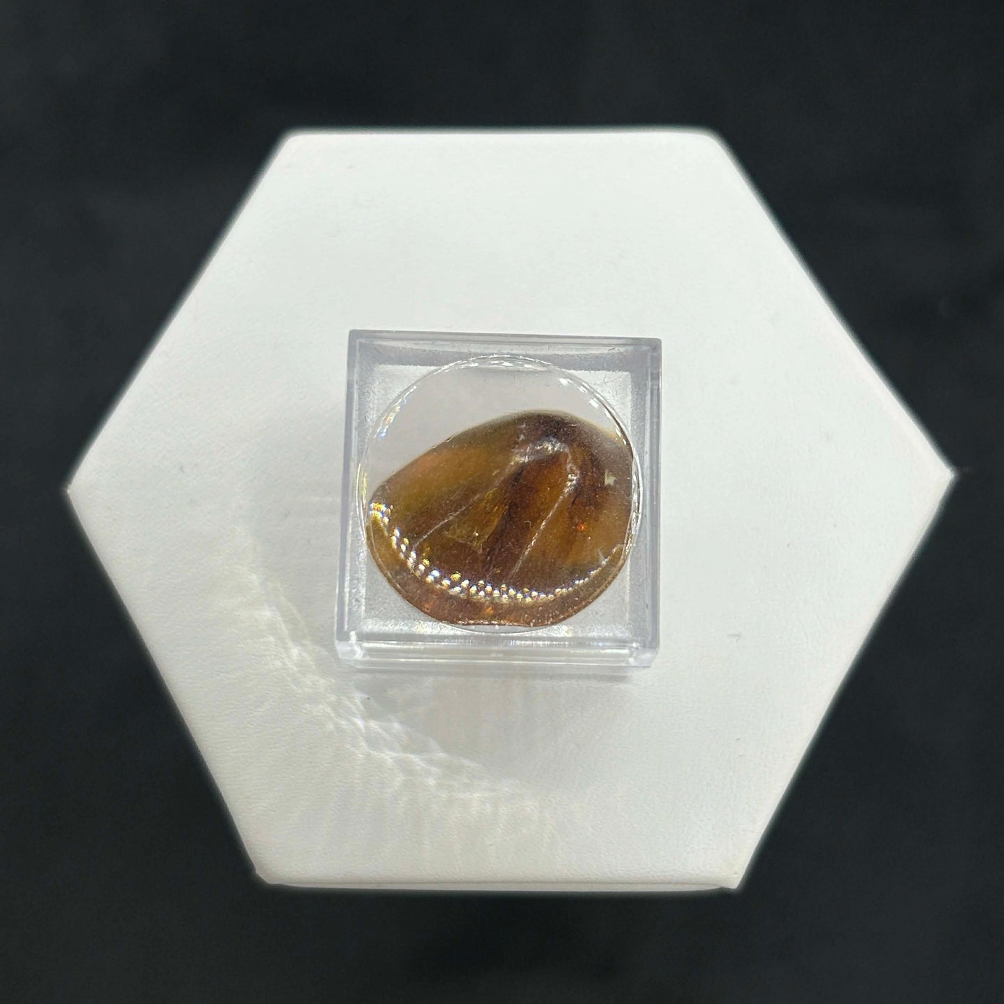 Amber Peaky Specimen