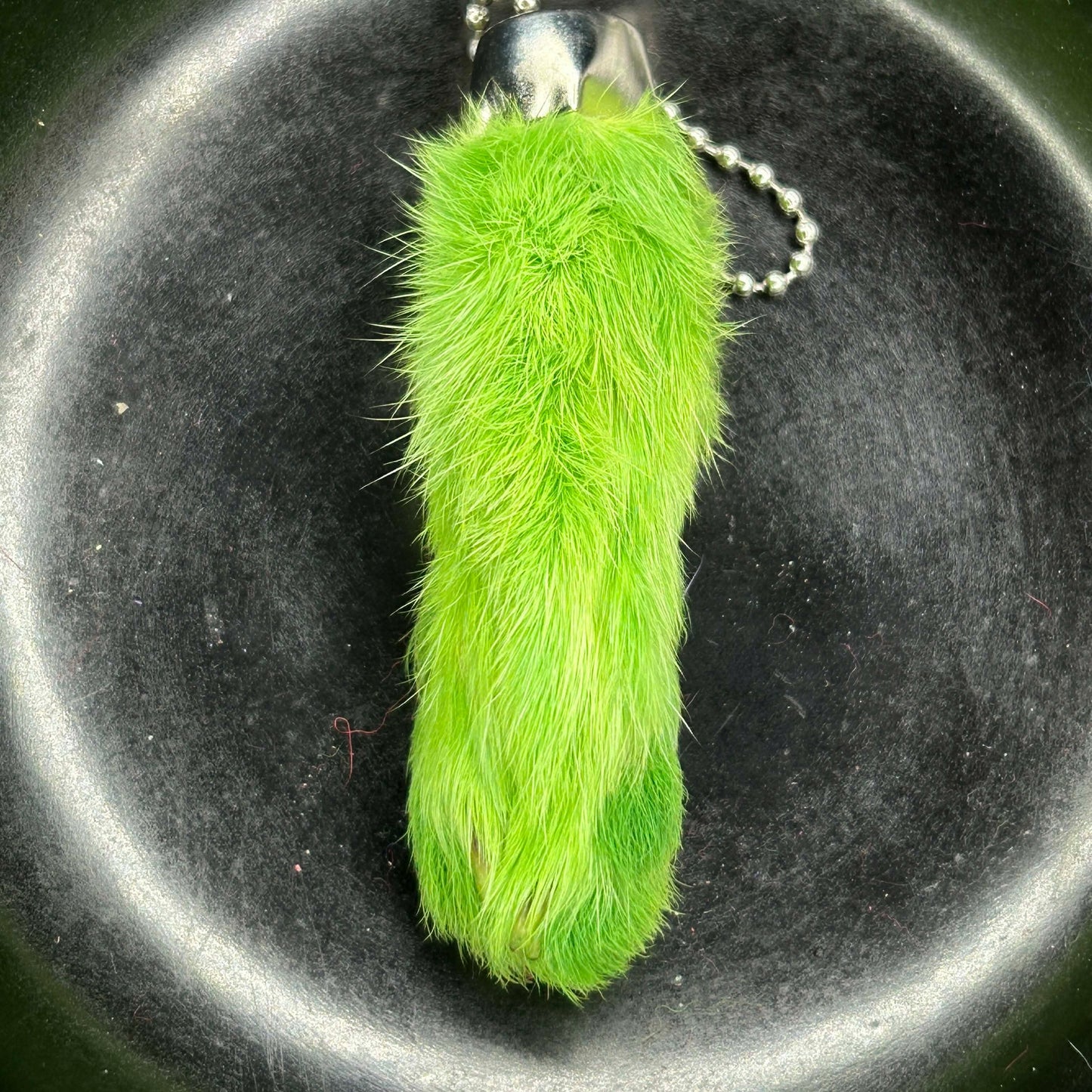 Colored Rabbits Feet