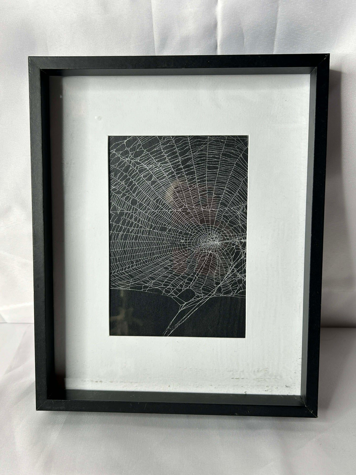 Framed Spiderwebs