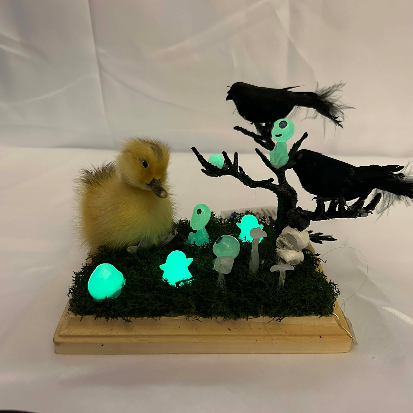 Cemetery Duckie