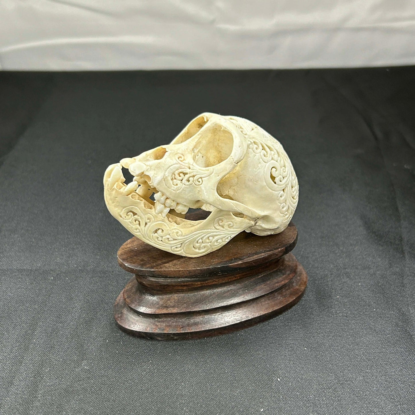 Decorative Monkey Skulls