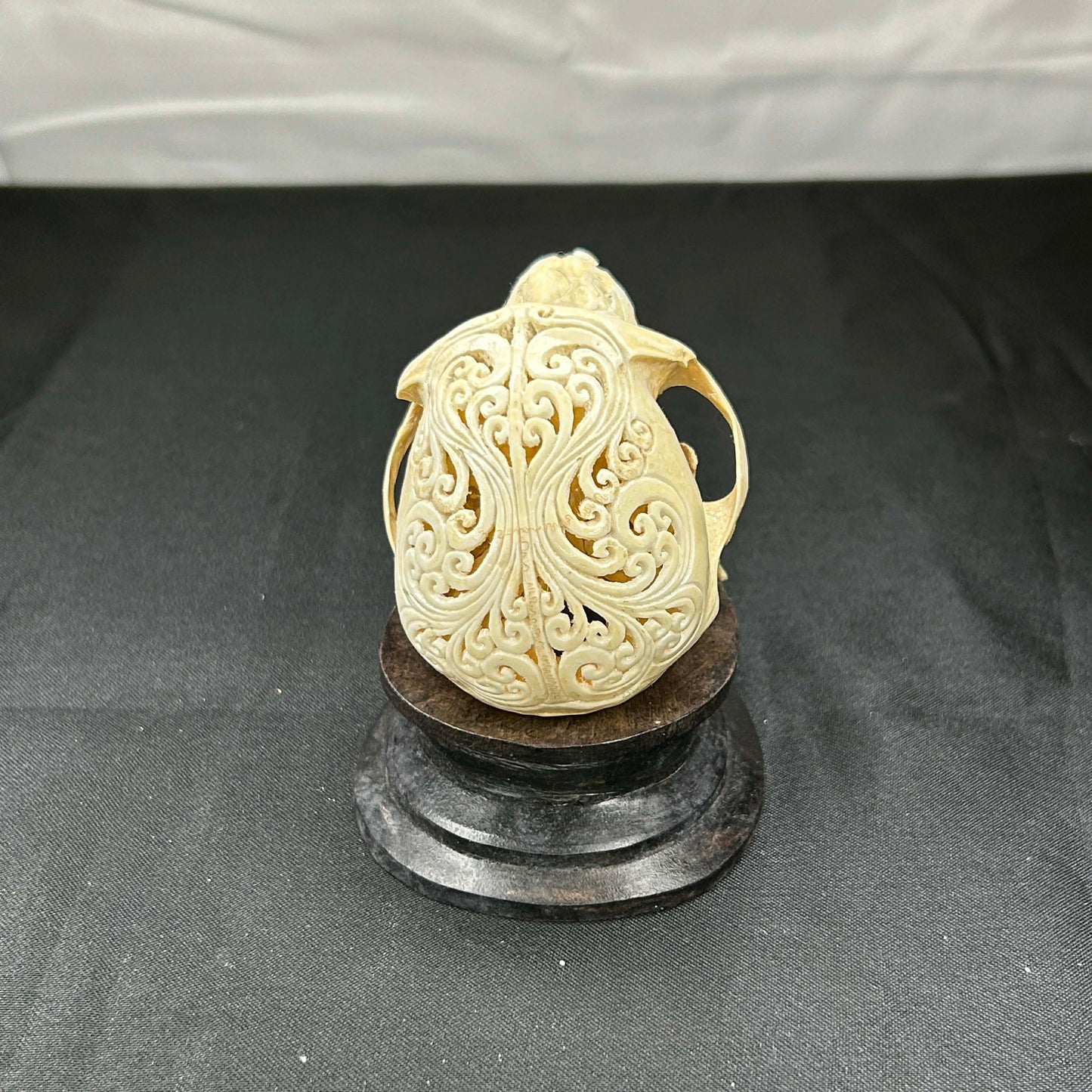 Decorative Monkey Skulls