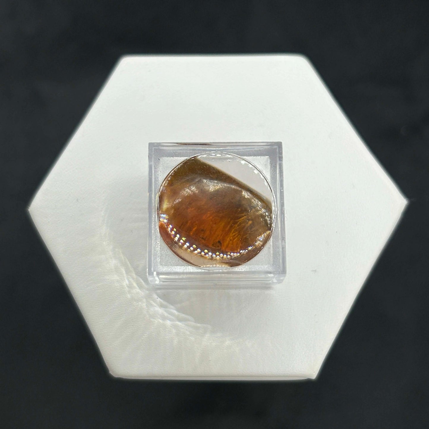 Amber Peaky Specimen