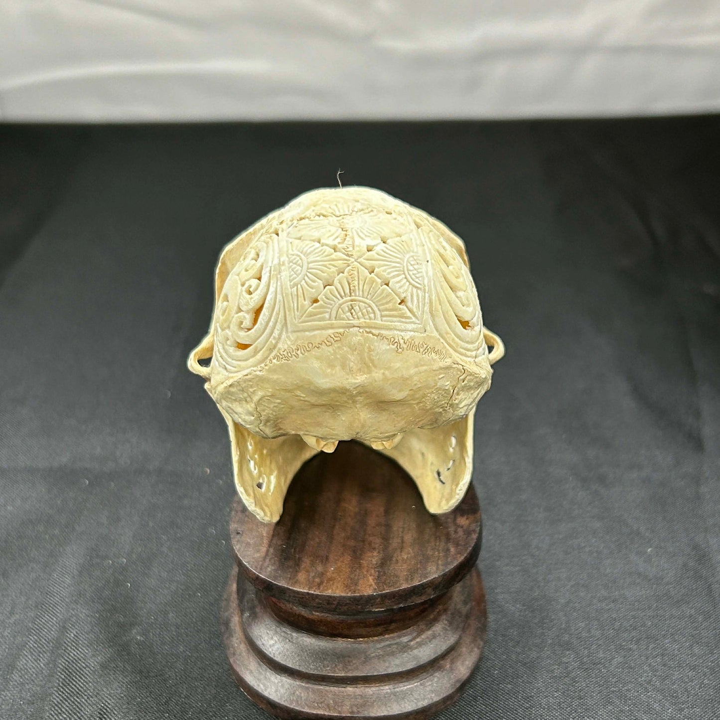 Decorative Monkey Skulls