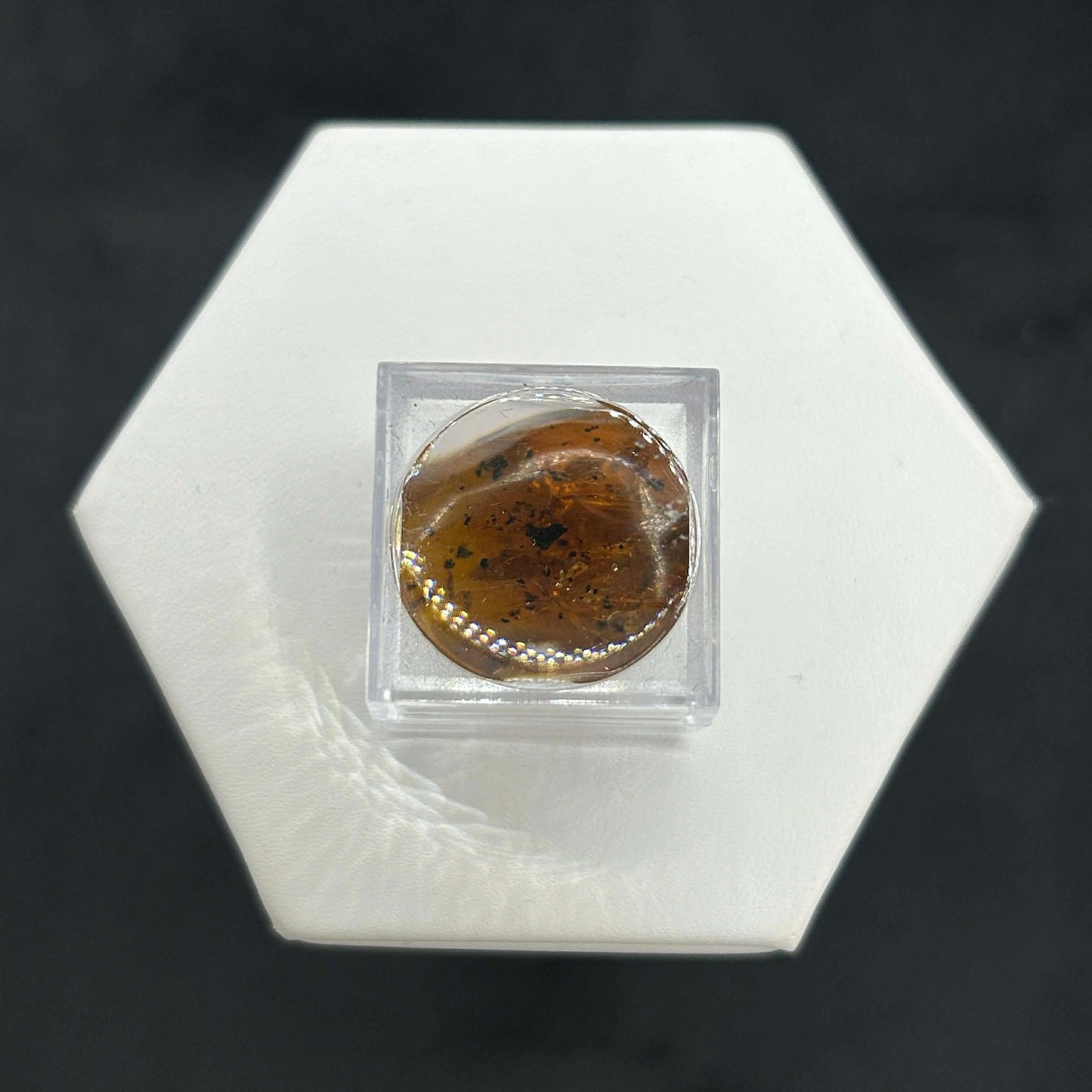 Amber Peaky Specimen