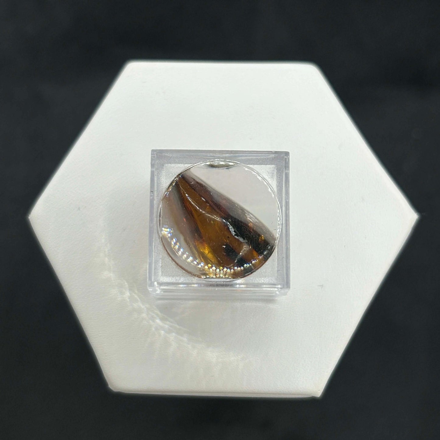 Amber Peaky Specimen