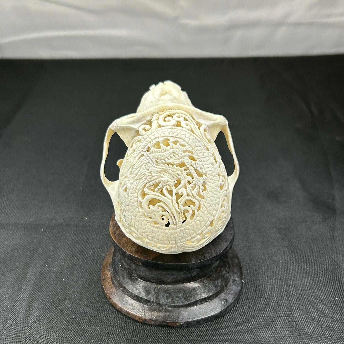 Decorative Monkey Skulls