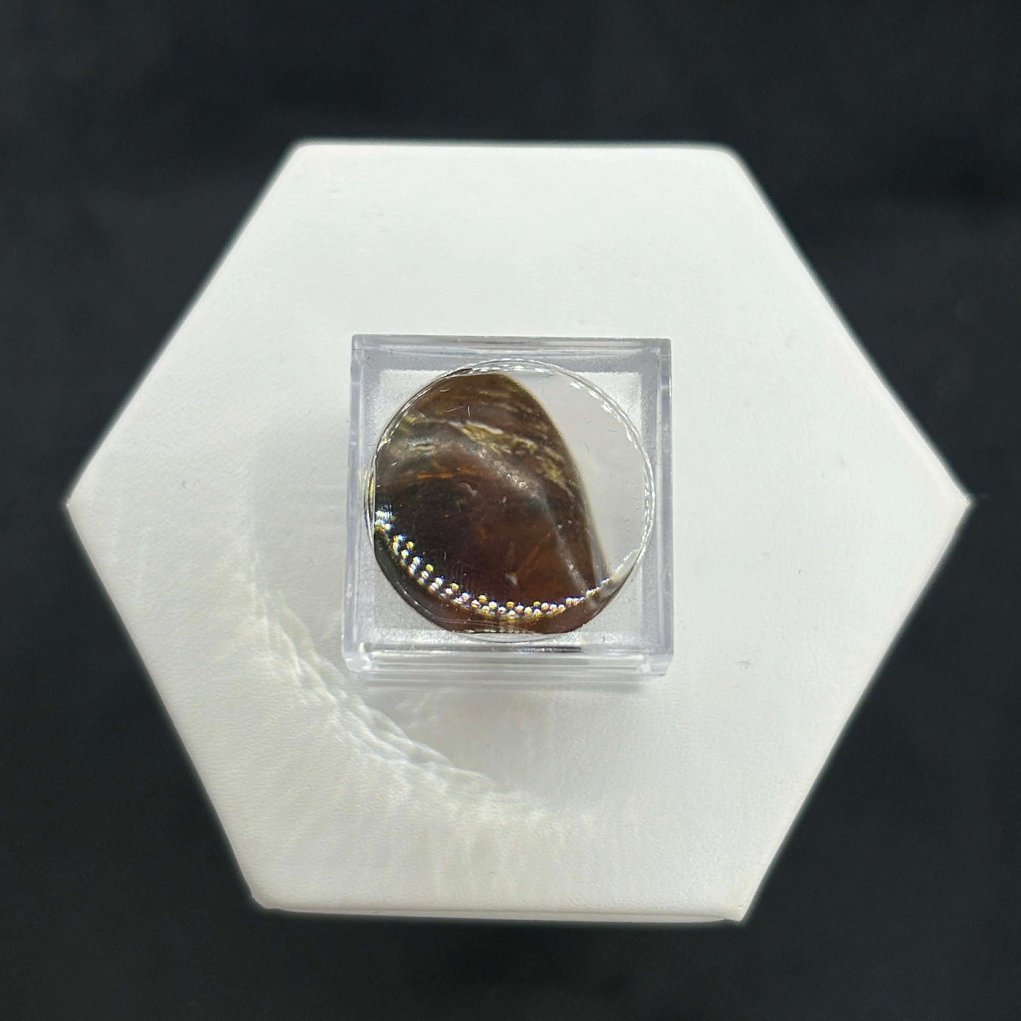 Amber Peaky Specimen