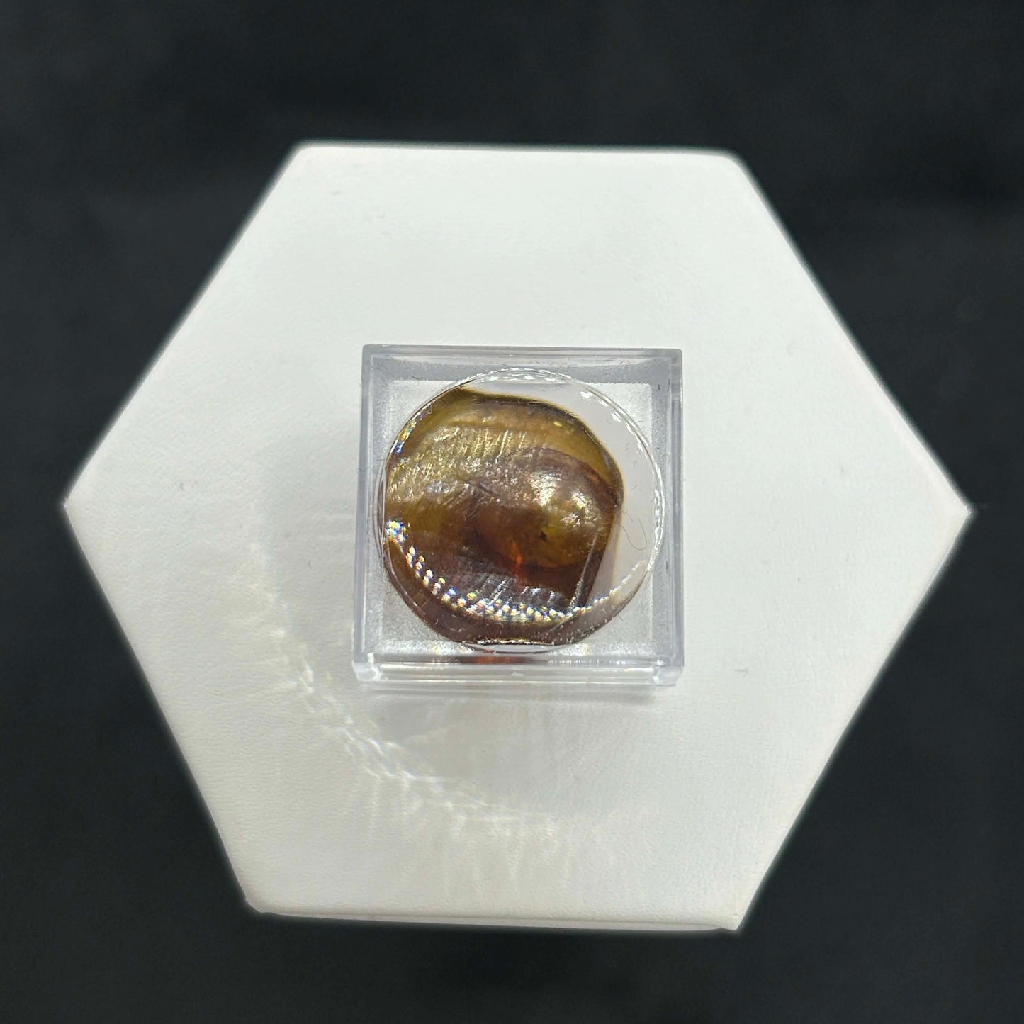 Amber Peaky Specimen