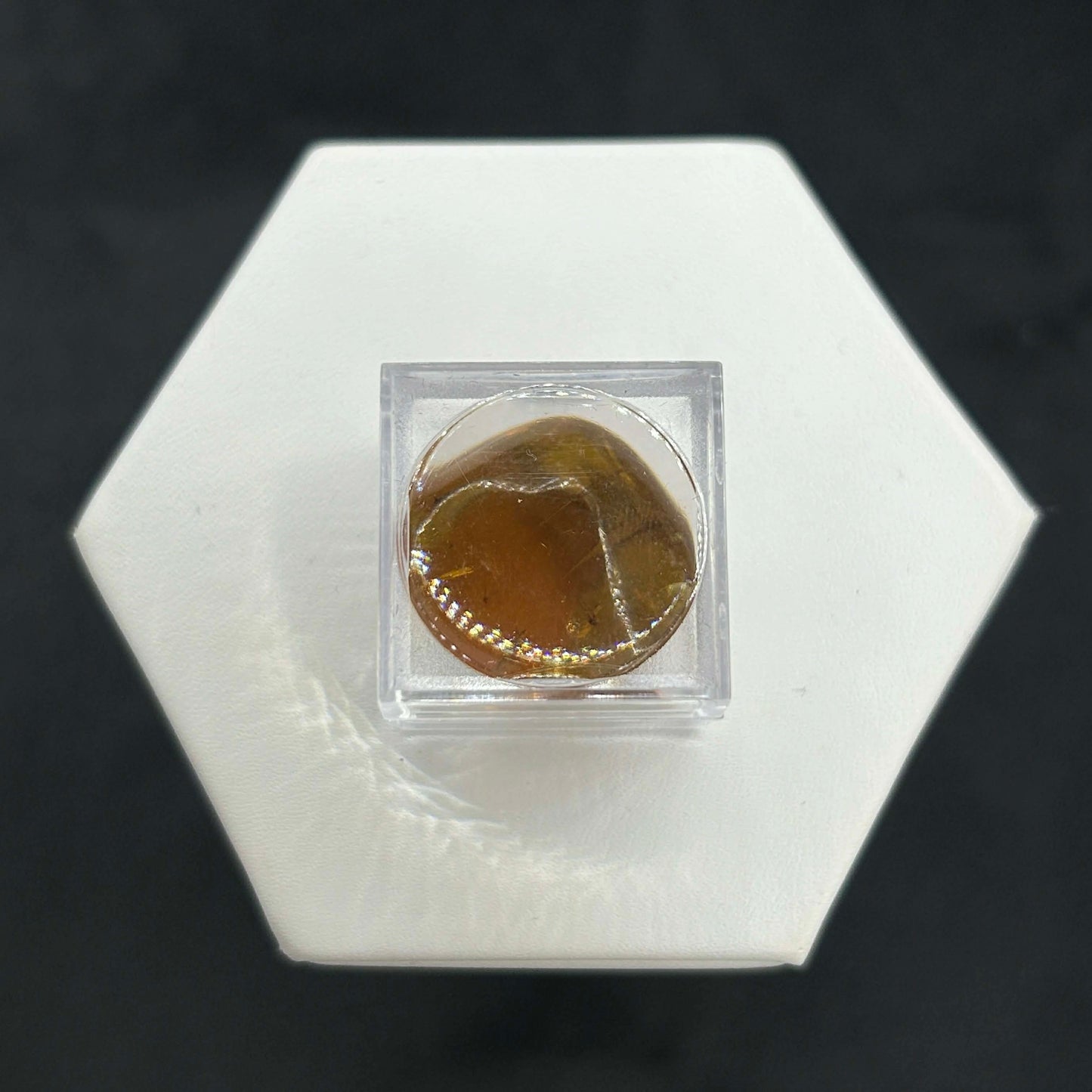 Amber Peaky Specimen