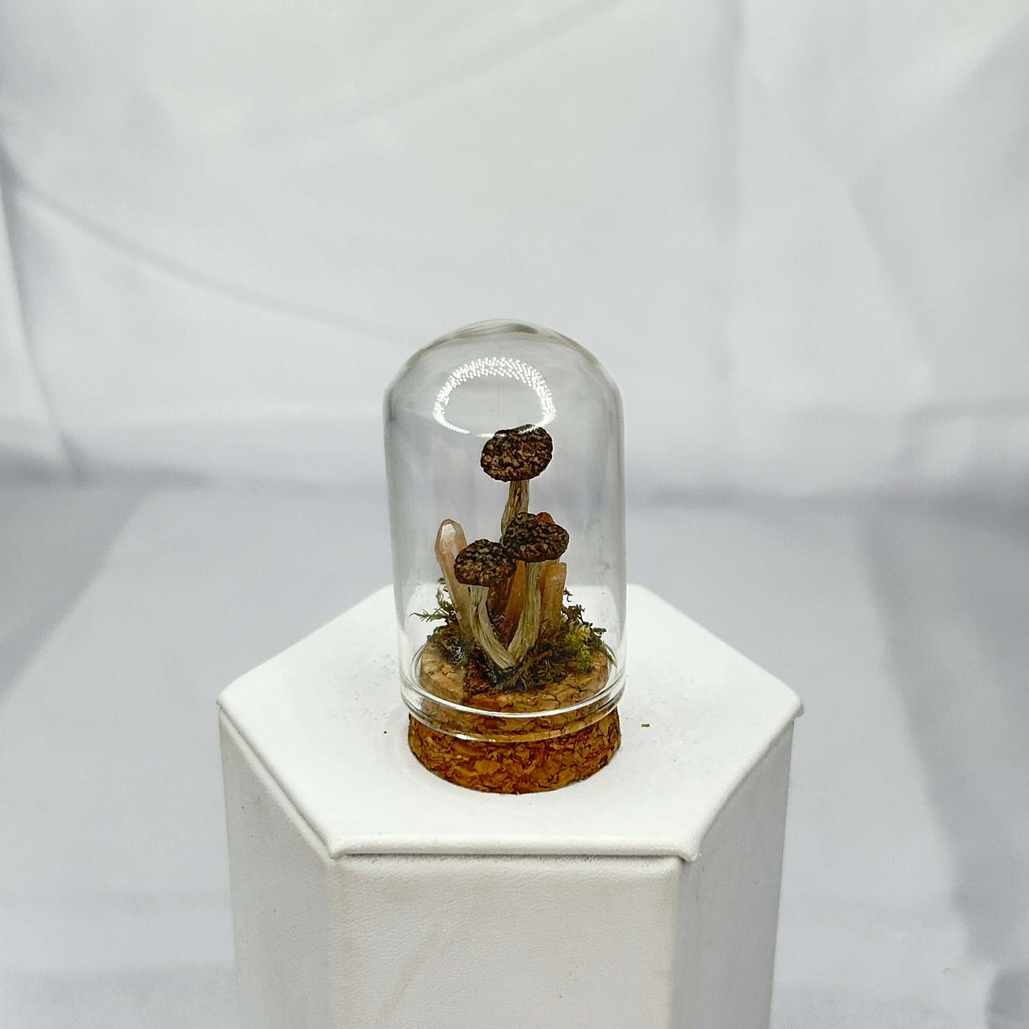 Mushroom with Crystals Oddity Dome