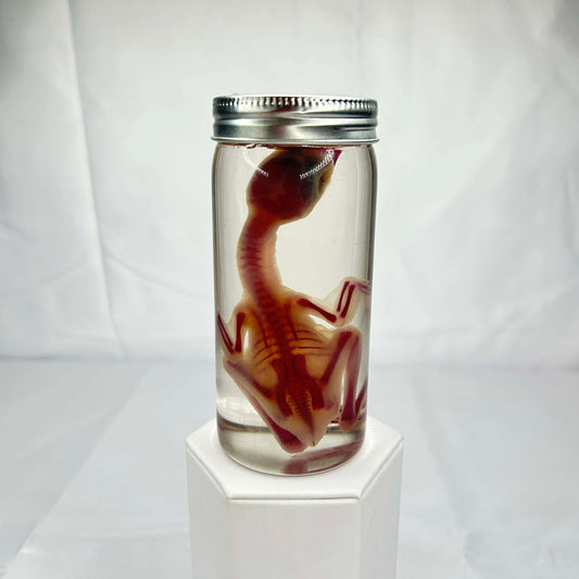 Diaphonized Baby Turkey