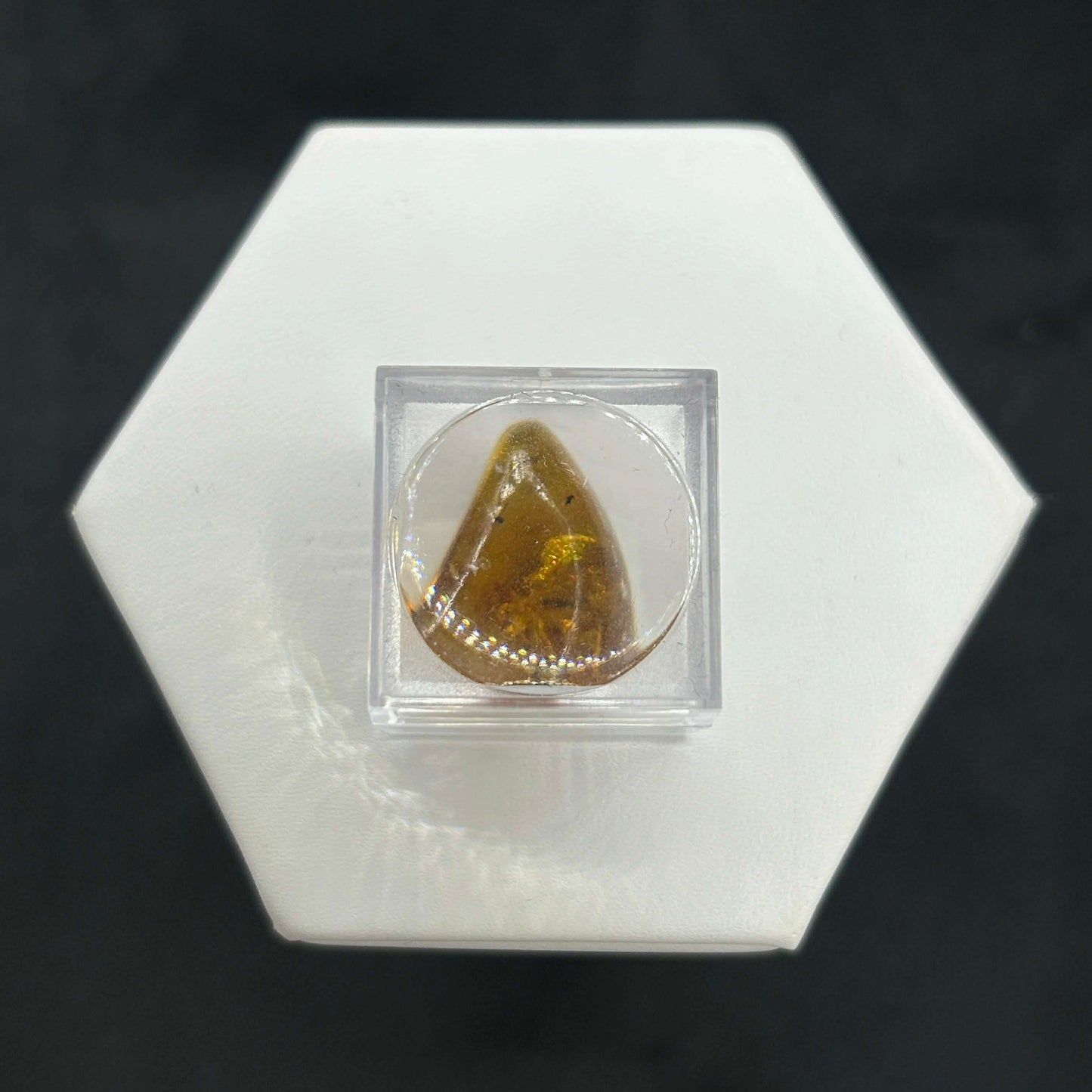 Amber Peaky Specimen