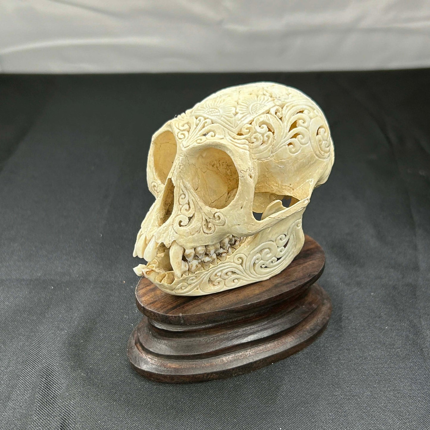 Decorative Monkey Skulls