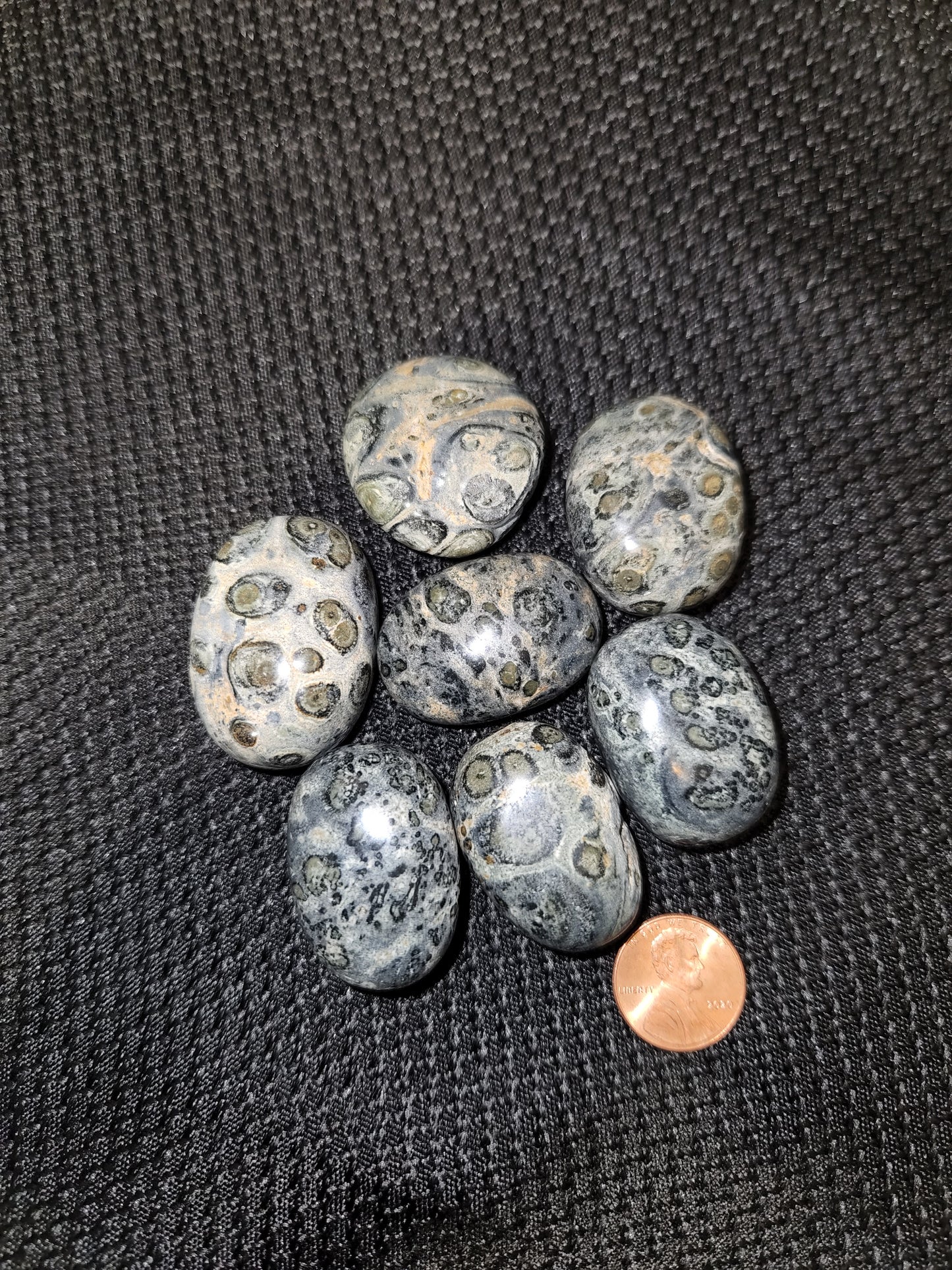 Kambaba Jasper Tumble