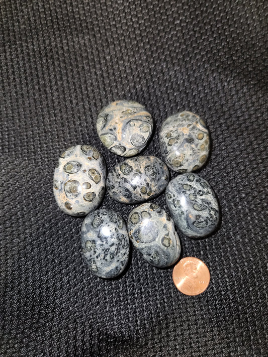 Kambaba Jasper Tumble