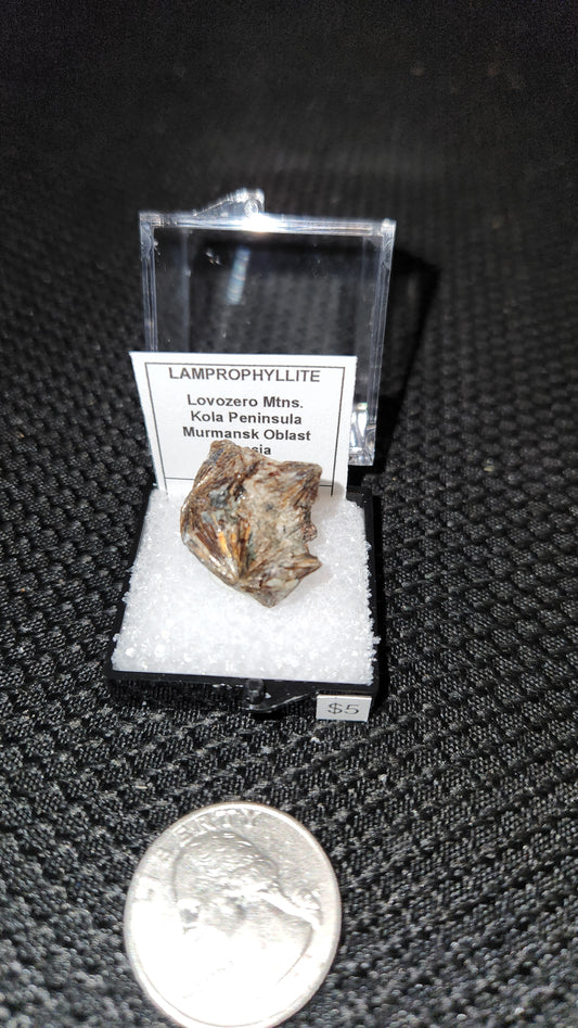 Lamprophyllite - Murmansk Oblast Russia