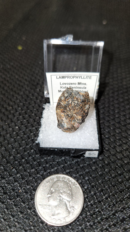 Lamprophyllite - Murmansk Oblast Russia