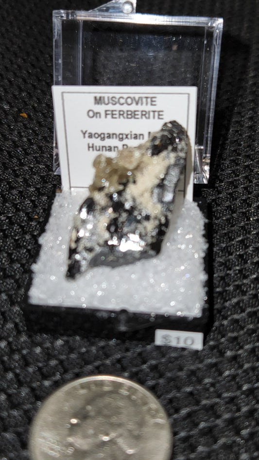 Muscovite on Ferberite - Hunan Province China