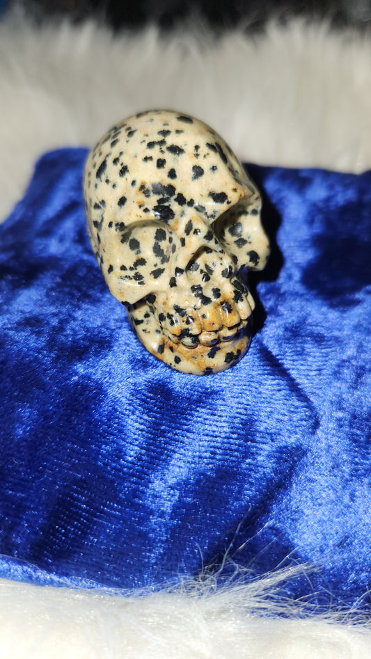 Dalmation jasper 2" skull