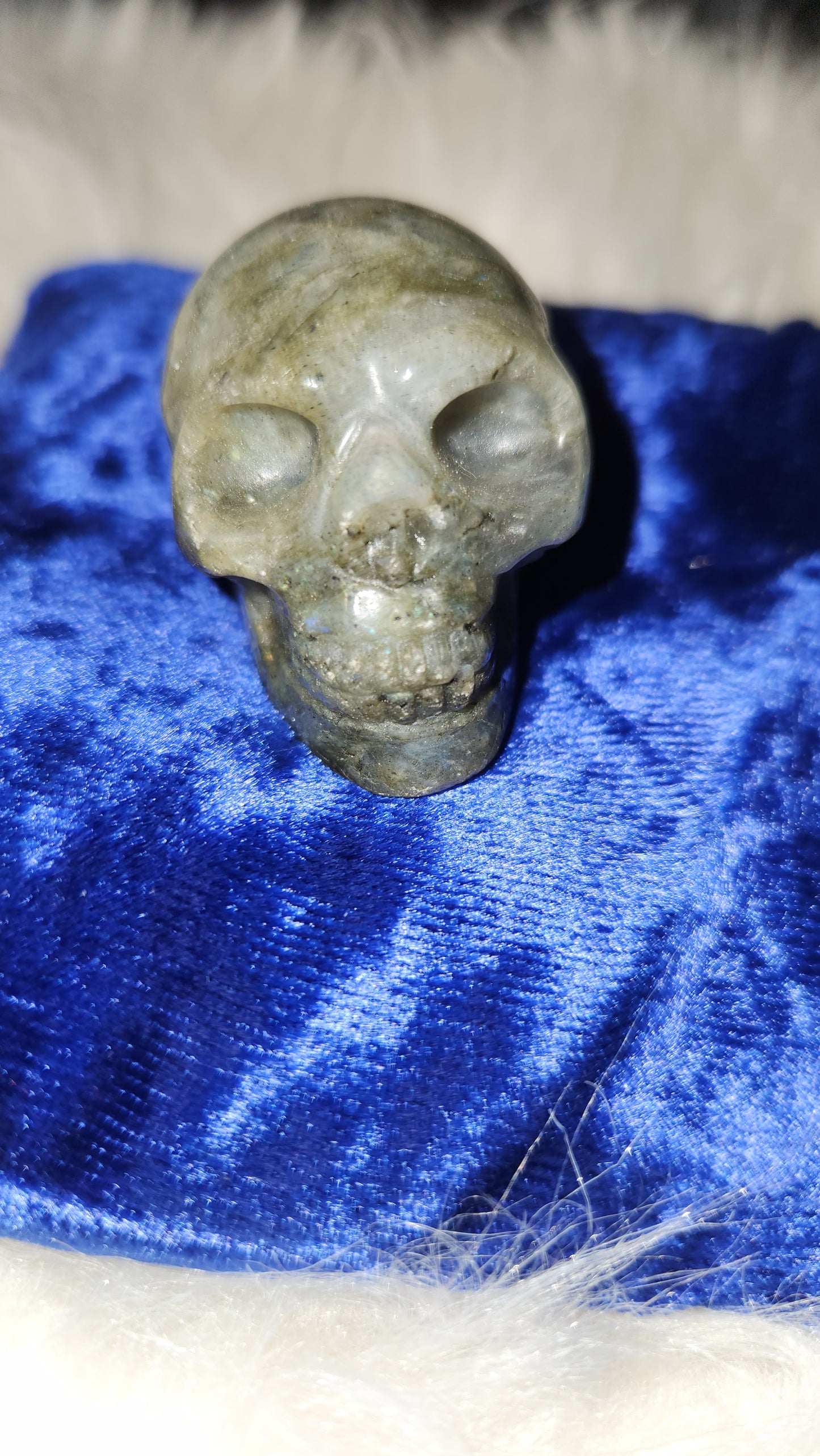 Labradorite 2" skull