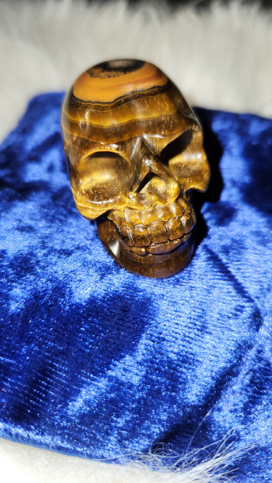 Tiger eye 2" skull