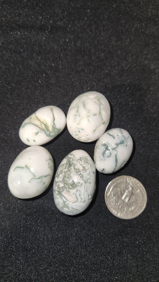 Tree agate tumble