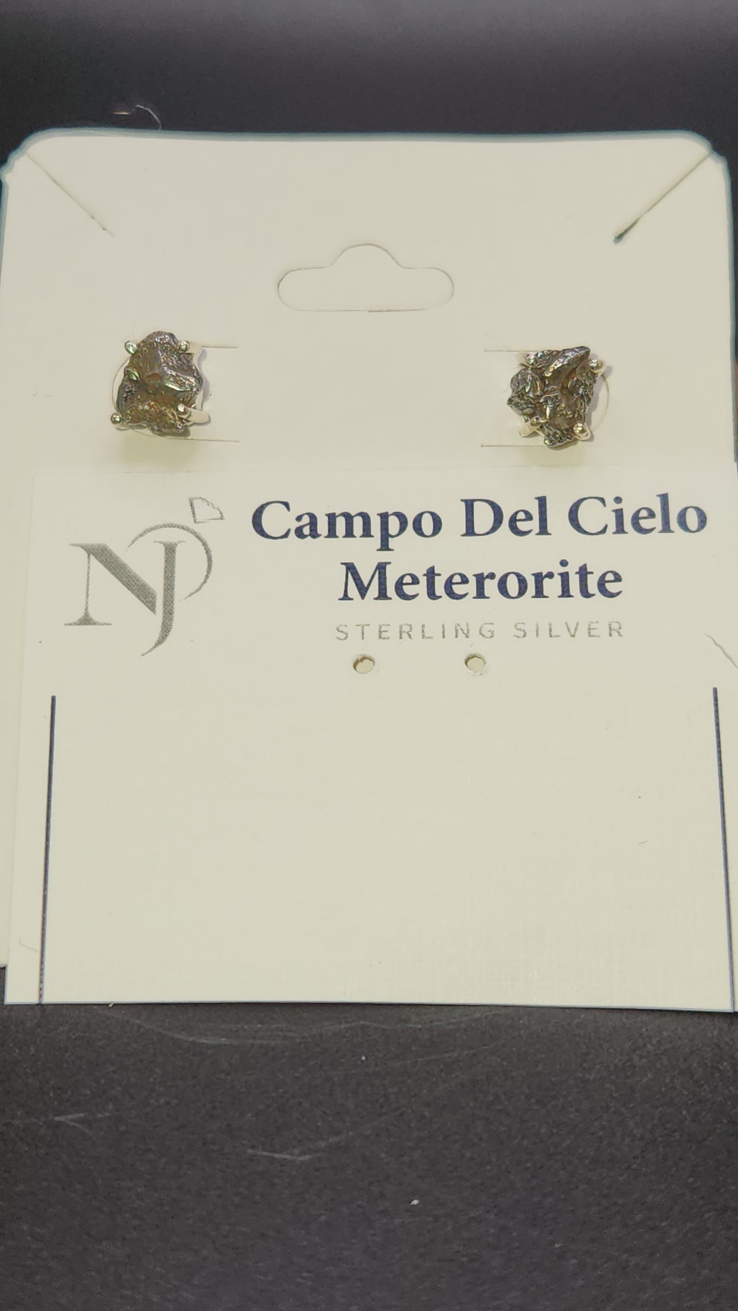 Sterling Silver Campo Del Cielo Meterorite earring