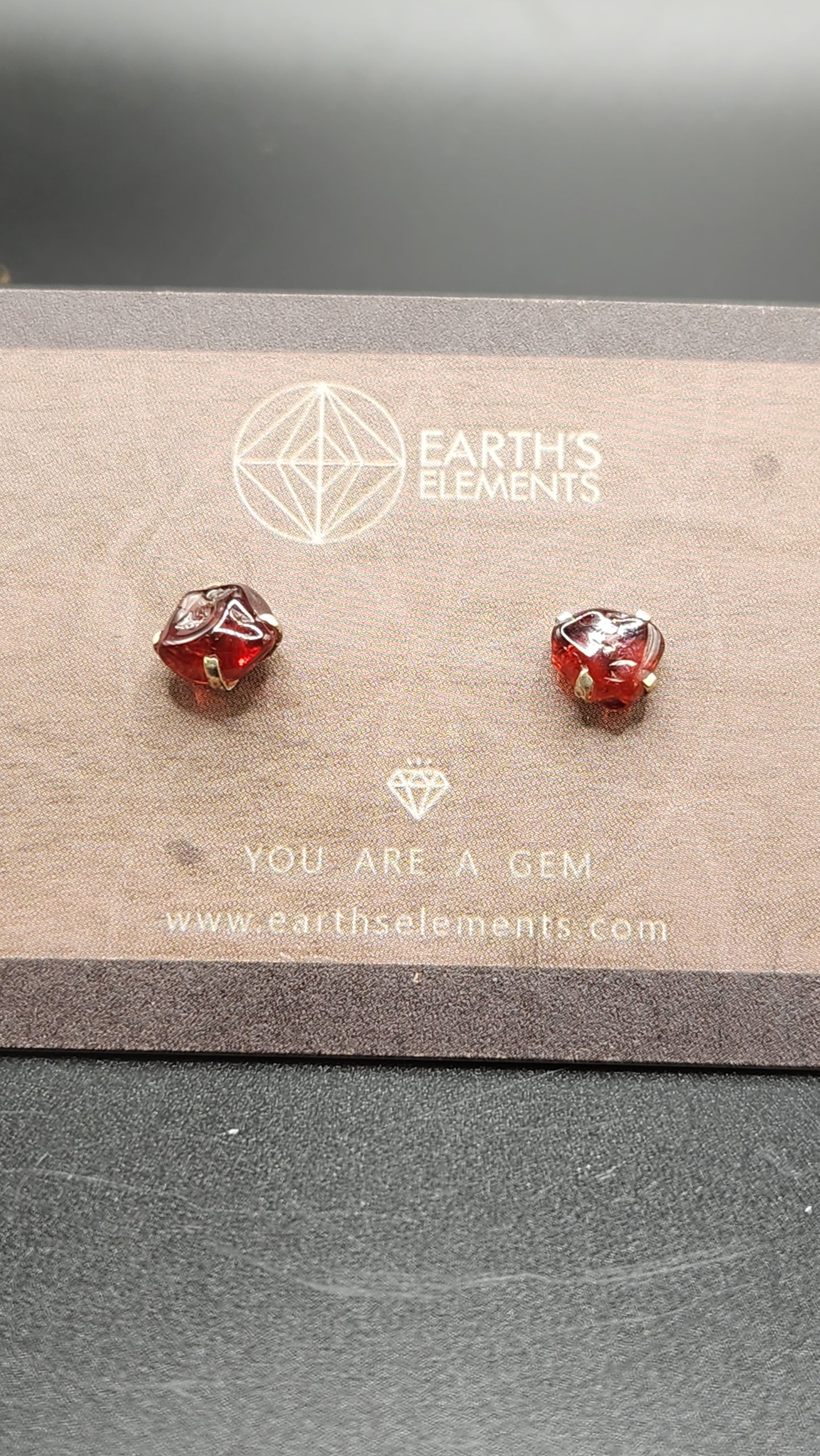 Sterling Silver Garnet earring