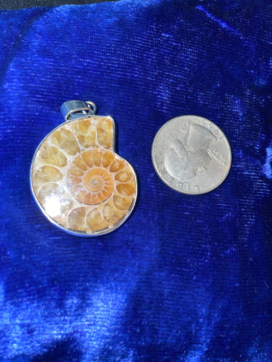 Ammonite pendent