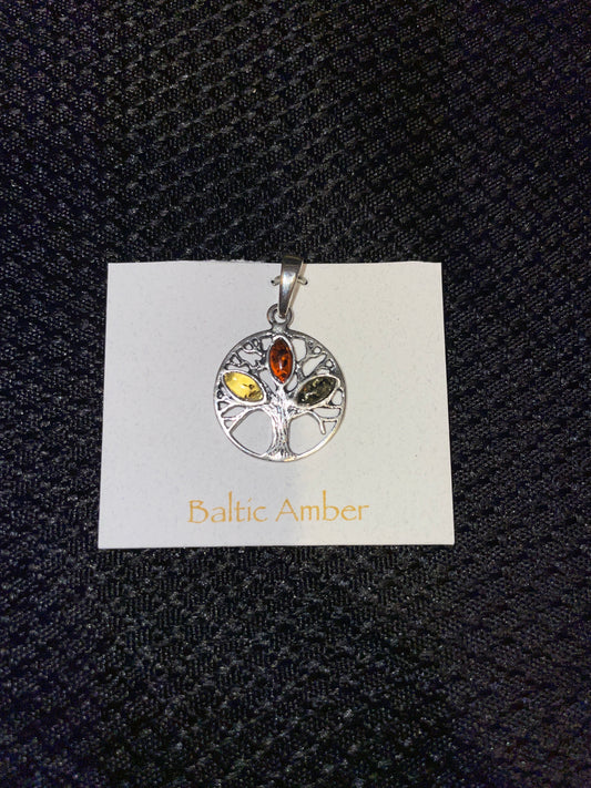 Baltic amber tree