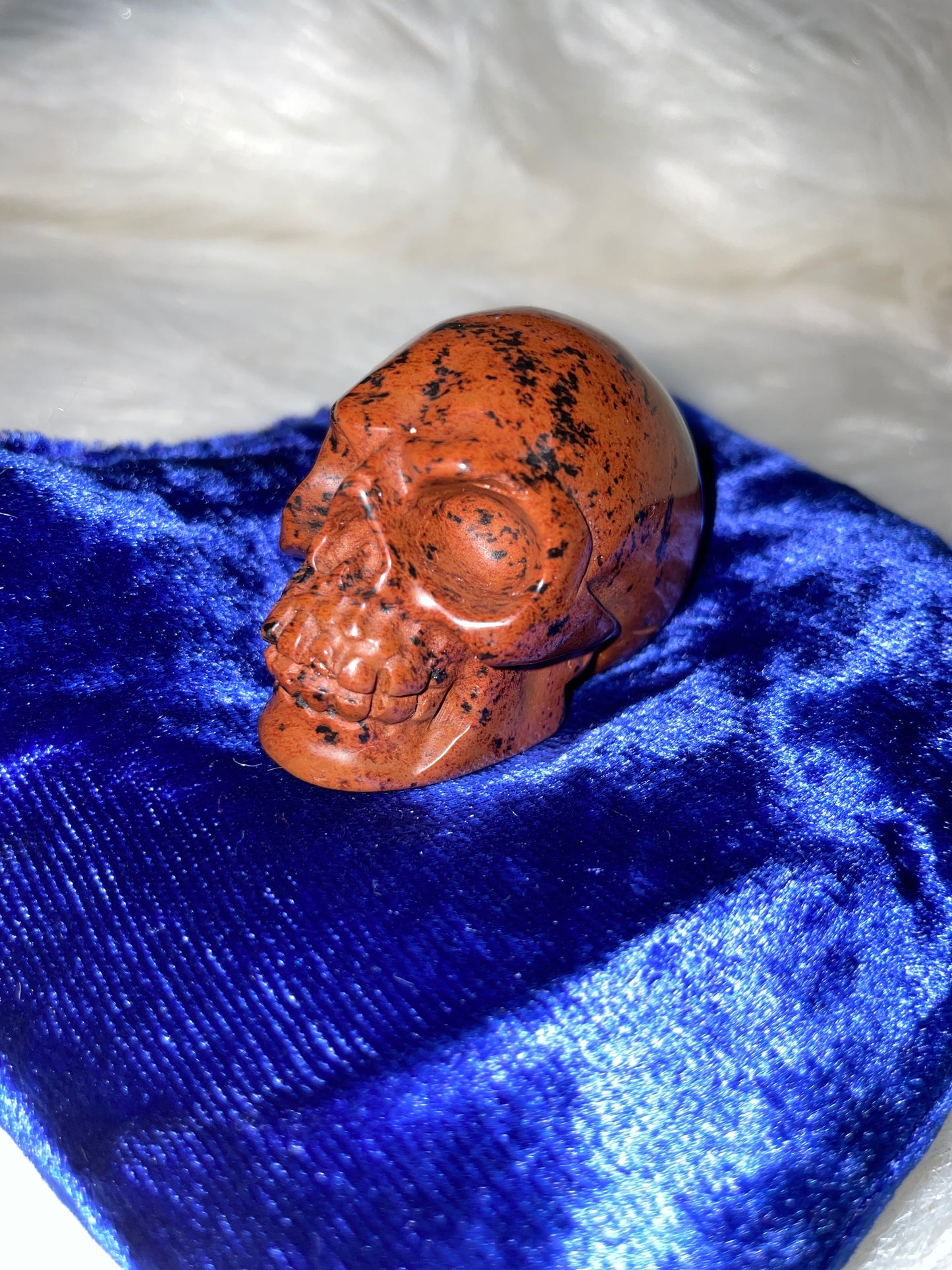 Mahogany jasper 2' skull